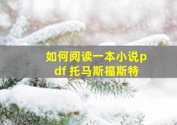 如何阅读一本小说pdf 托马斯福斯特